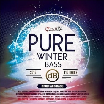 VA - Pure Winter Bass (2019) MP3 скачать торрент альбом