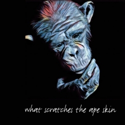 Bjorn Pehrson & Jorgen Andersson - What Scratches the Ape Skin (2019) MP3 скачать торрент альбом