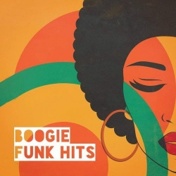 VA - Boogie Funk Hits (2019) MP3 скачать торрент альбом
