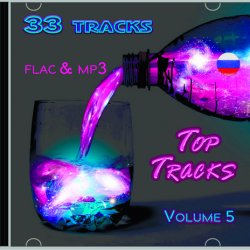 VA - Top Tracks RU Vol 5 (2019) MP3 скачать торрент альбом