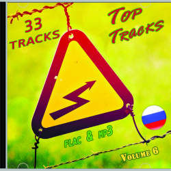 VA - Top Tracks RU Vol 6 (2019) MP3 скачать торрент альбом