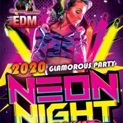 VA - Neon Night: Glamour House Party (2020) MP3 скачать торрент альбом