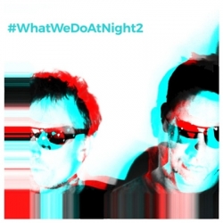 Blank & Jones - #WhatWeDoAtNight 2 (2020) FLAC скачать торрент альбом