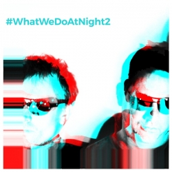 Blank & Jones - #WhatWeDoAtNight 2 [2CD] (2020) MP3 скачать торрент альбом