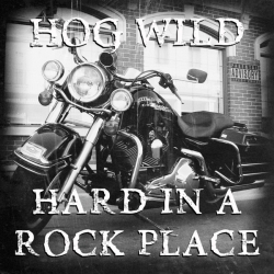 Hog Wild - Hard in a Rock Place (2020) MP3 скачать торрент альбом
