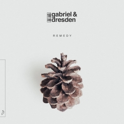 Gabriel & Dresden - Remedy (2020) MP3 скачать торрент альбом