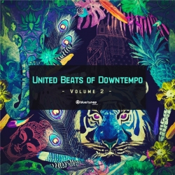 VA - United Beats of Downtempo Vol. 2 (2020) MP3 скачать торрент альбом