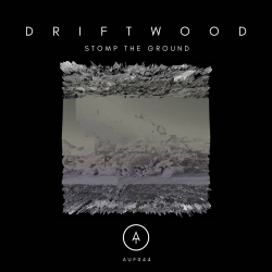 Driftwood - Stomp The Ground (2019) MP3 скачать торрент альбом