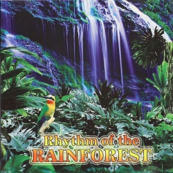 VA - Rhythm of the Rainforest (2003) MP3 скачать торрент альбом