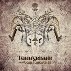 VA - Tanngrisnir and Tanngnjostrr II (2020) MP3 скачать торрент альбом