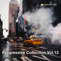 VA - Progressive Collection Vol.12 (2019) MP3 скачать торрент альбом