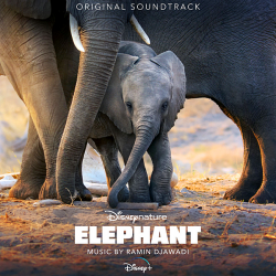 Ramin Djawadi - Elephant (Original Soundtrack) (2020) MP3 скачать торрент альбом