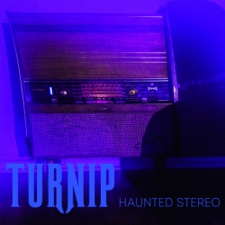 Turnip - Haunted Stereo (2018) FLAC скачать торрент альбом