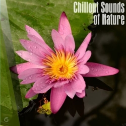 VA - Chillout Sounds Of Nature (2018) FLAC скачать торрент альбом