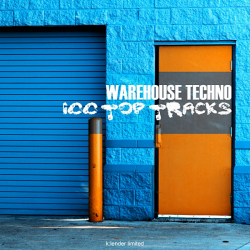 VA - Warehouse Techno 100 Top Tracks (2020) MP3 скачать торрент альбом