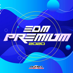 VA - EDM Premium 2020 [Planet Dance Music] (2020) MP3 скачать торрент альбом