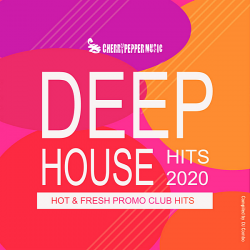 VA - Deep House Hits 2020 [Compiled by DJ Combo] (2020) MP3 скачать торрент альбом