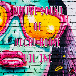 VA - Future Sound Of Vocal House Vol.1 (2020) MP3 скачать торрент альбом