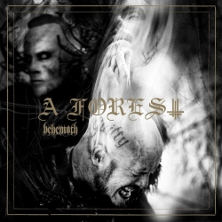 Behemoth - A Forest [EP] (2020) MP3 скачать торрент альбом