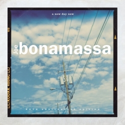 Joe Bonamassa - A New Day Now [20th Anniversary Edition] (2020) FLAC скачать торрент альбом