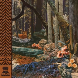 Space Deer - The Forest (2020) FLAC скачать торрент альбом