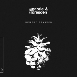 Gabriel & Dresden - Remedy [Remixed] (2021) MP3 скачать торрент альбом