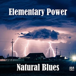 Natural Blues - Elementary Power (2021) MP3 скачать торрент альбом