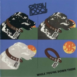 Stray Dog - While You Re Down There [Reissue, Remastered] (1974/2001) FLAC скачать торрент альбом