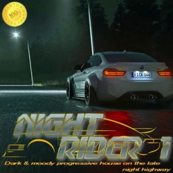 VA - Night Rider 1 (2021) MP3 скачать торрент альбом