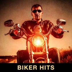 VA - Biker Hits (2021) MP3 скачать торрент альбом